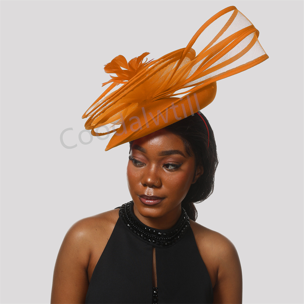 قبعة ديربي ريشة للنساء ، فاسين - مراجعة Vintage Fashion Hats وسعره