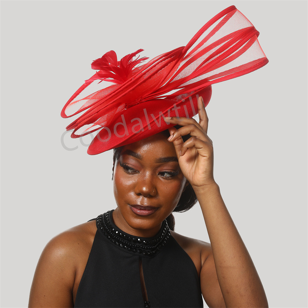 قبعة ديربي ريشة للنساء ، فاسين - مراجعة Vintage Fashion Hats وسعره